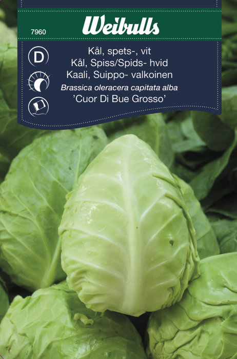 Hvit spisskål ´Cuor Di Bue Grosso`